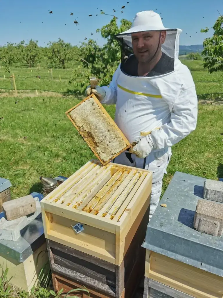 Martin Wiesmüller am Bienenstand, ein Rähmchen in der Hand