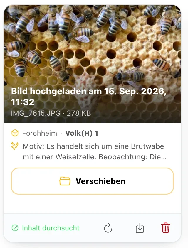Eine Karte im Dateimanager – Aufnahmedatum, der erkannte Inhalt, Stand und Volk, dazu Verschieben, Herunterladen und Löschen.