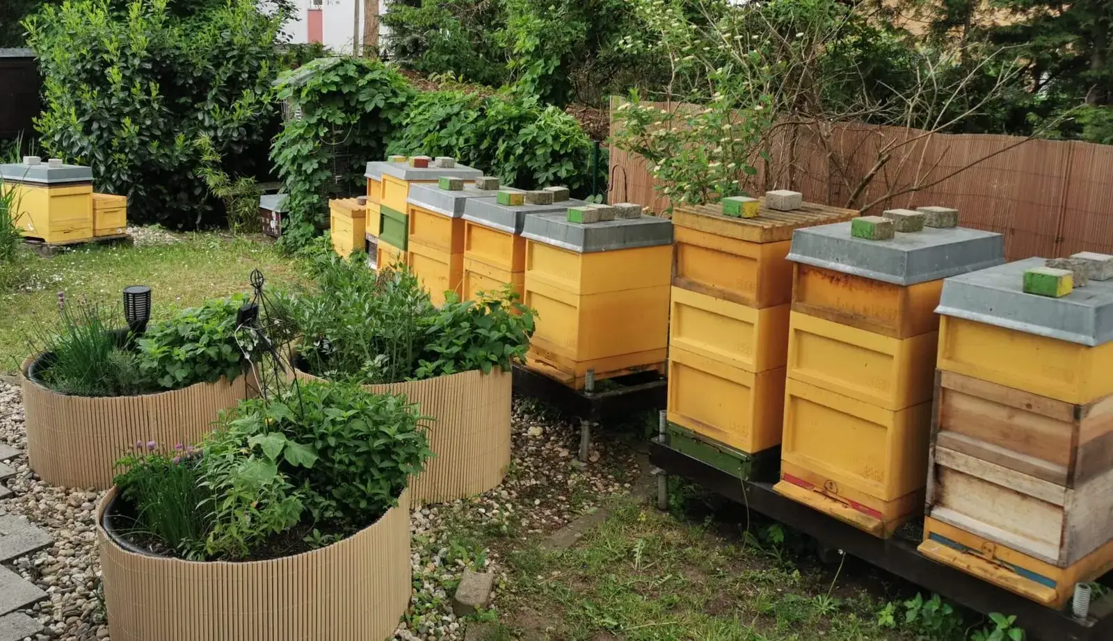 Spring Splitting for Swarm Prevention: Between Relief and Performance Limitation