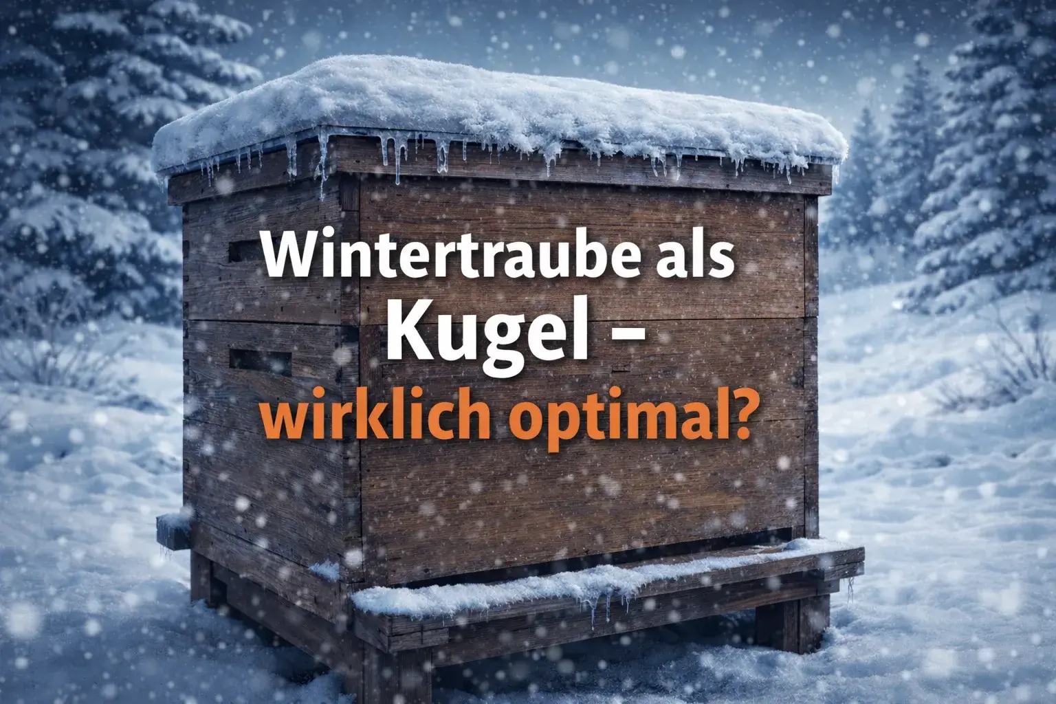 Wintertraube als Kugel wirklich optimal