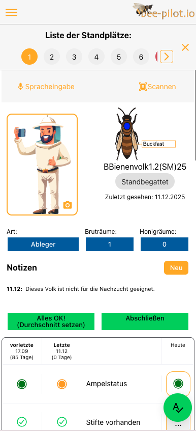 bee-pilot.io - Esecuzione di un'ispezione