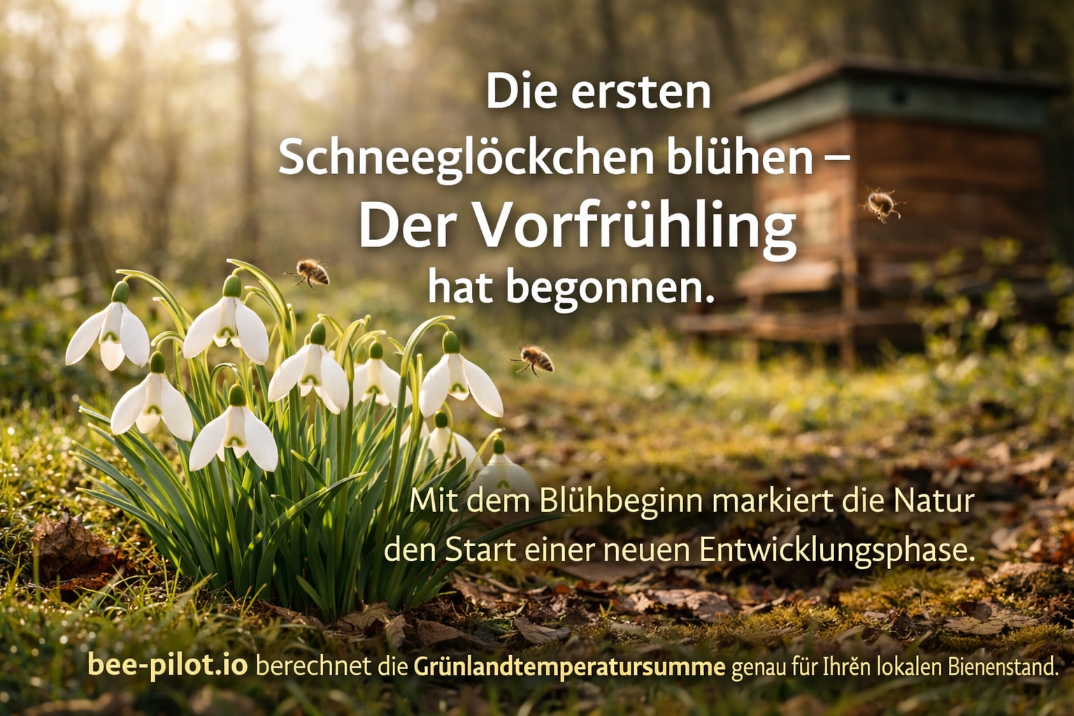 Banner Frühling