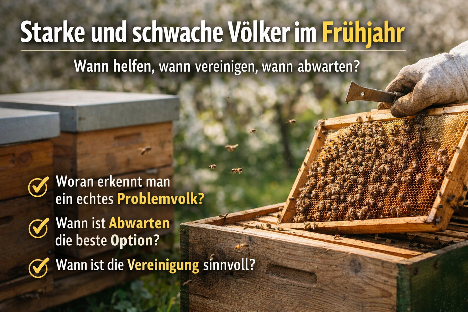 Starke und schwache Völker im Frühjahr