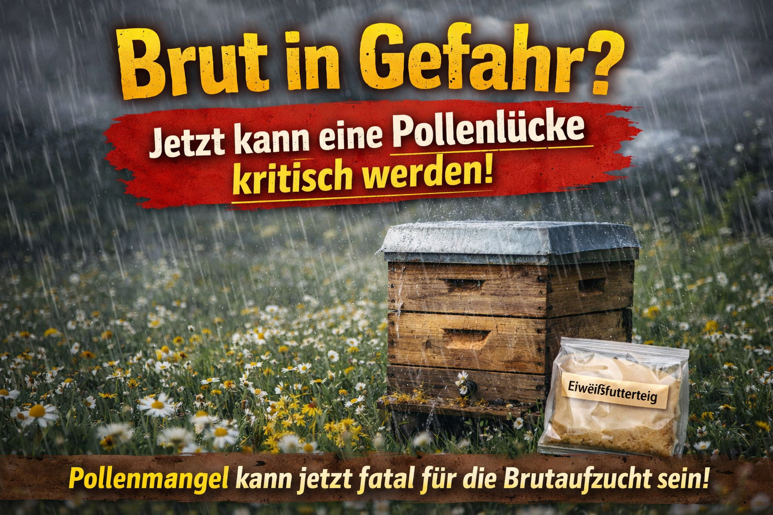 Brut in Gefahr -Bild