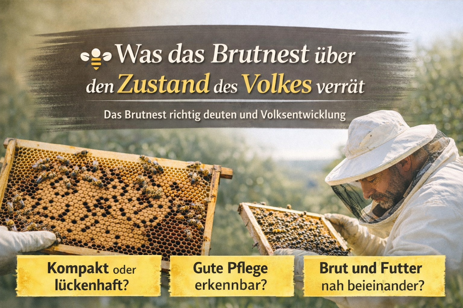 Was das Brutnest über den Zustand des Volkes verrät